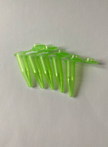 5pk plastikkrør med lokk (velg mellom ulike farger)