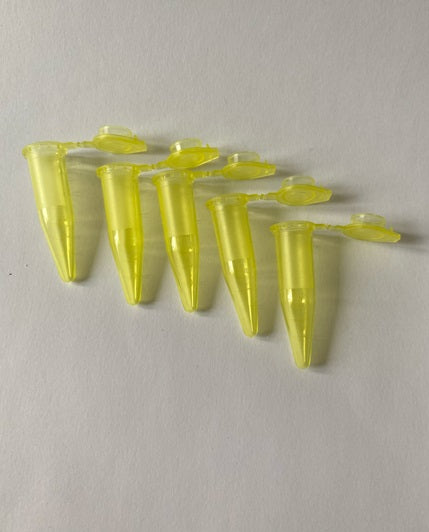 5pk plastikkrør med lokk (velg mellom ulike farger)